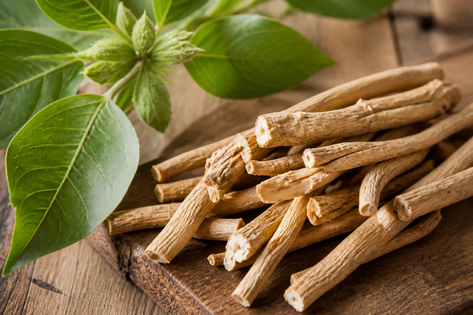 Ashwagandha bei Stress: Die passende Auswahl für jeden Alltag
